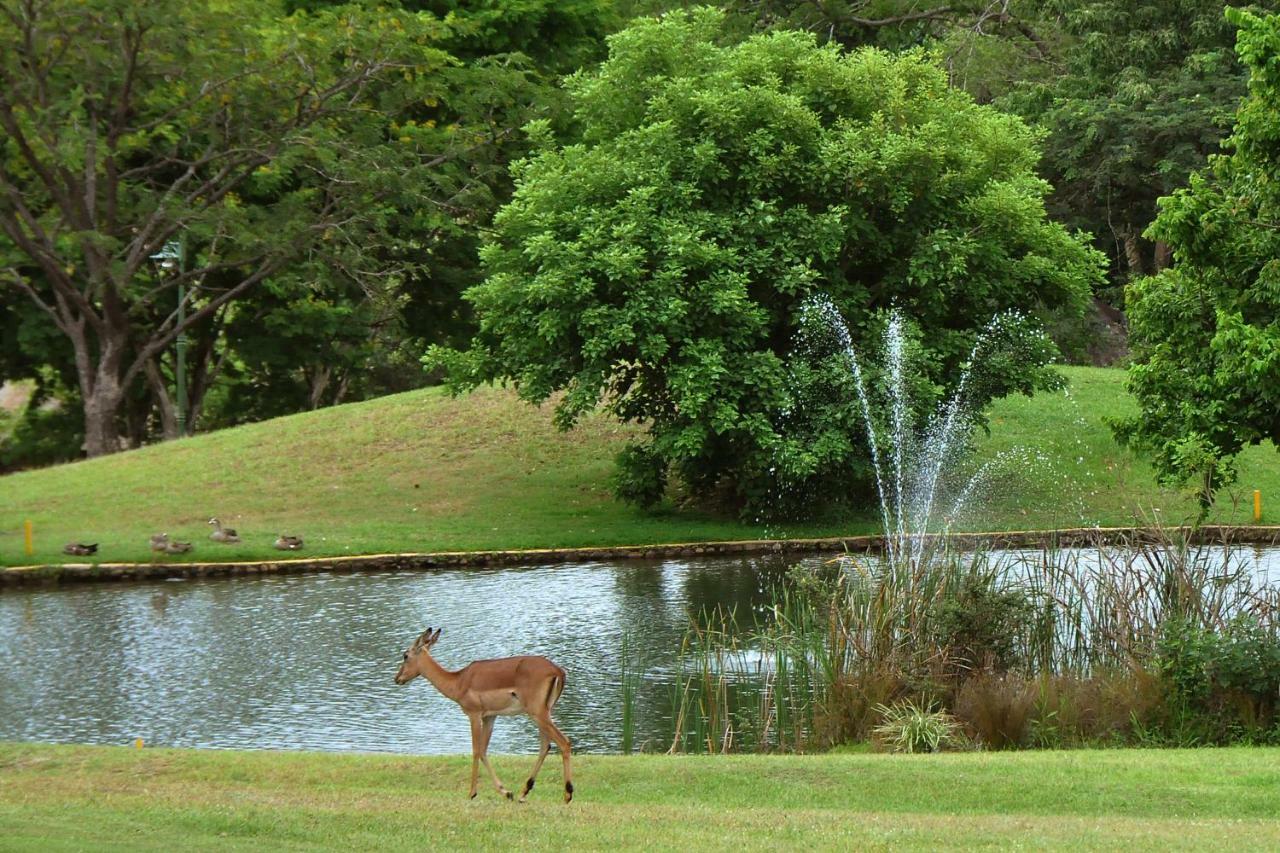 Kruger Park Lodge Unit No. 543 Hazyview Bagian luar foto