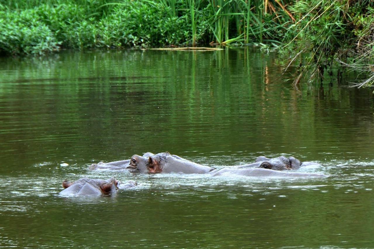 Kruger Park Lodge Unit No. 543 Hazyview Bagian luar foto